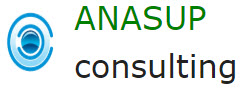 ANASUP CONSULTING
